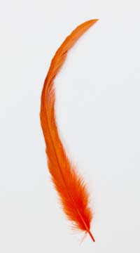 Dyed Coque Sweeps feathers - #28 ORANGE